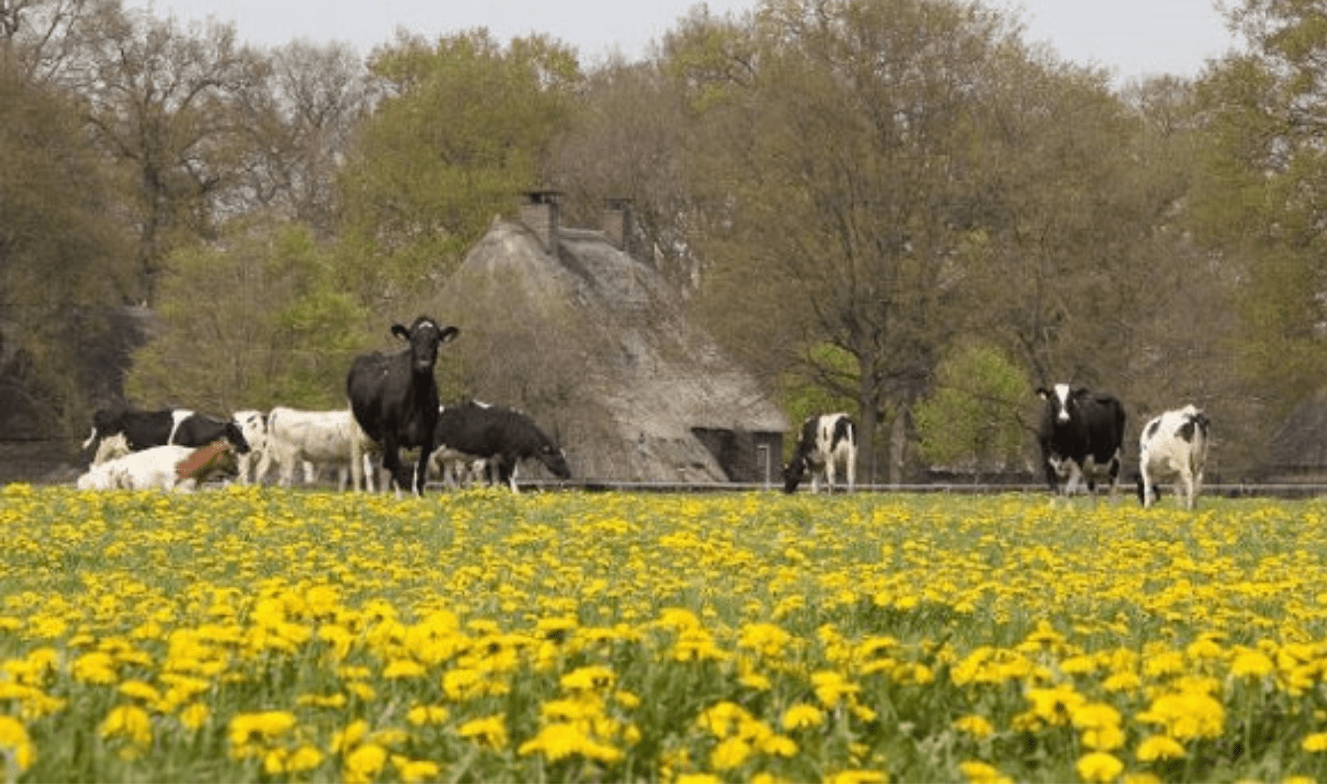 Fietsrondreisvakantie door Drenthe