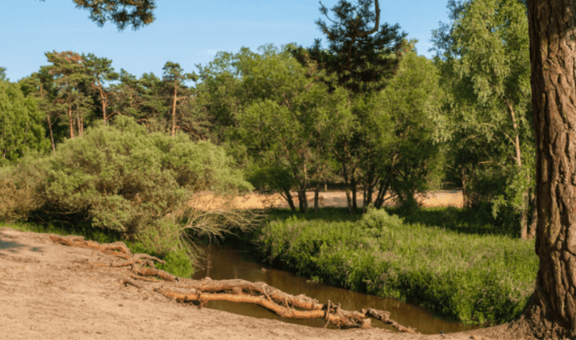 Fiets- en Wandelvakantie Graafschap Bad Bentheim