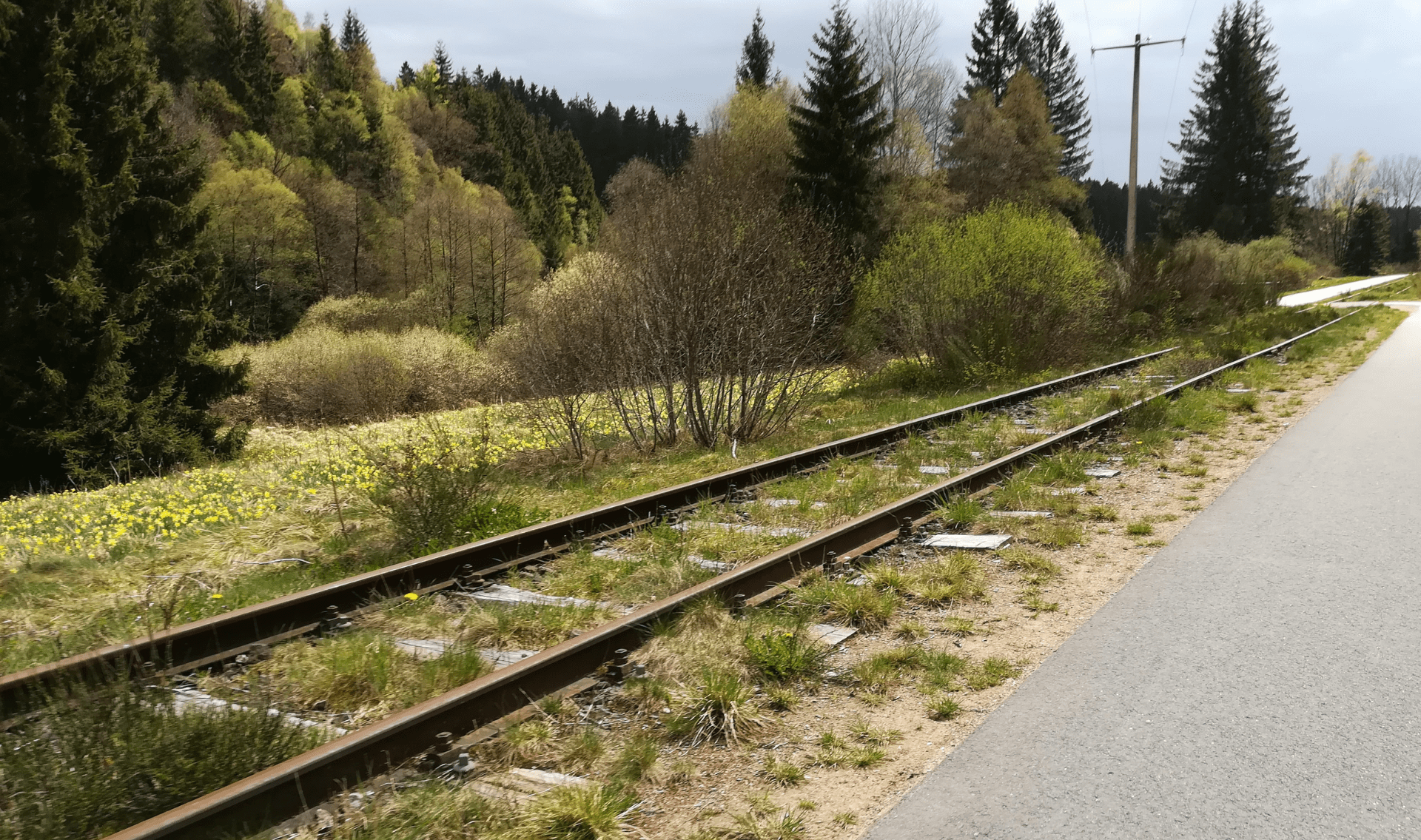 Fietsvakantie Vierlanden Vennbahn