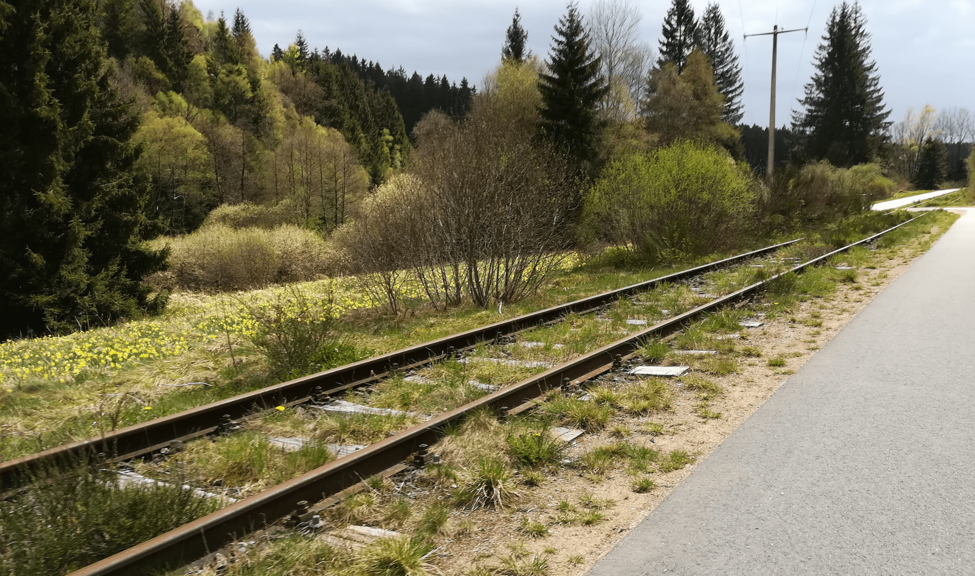 Fietsvakantie Ardennen en Eifel (Vennbahn)