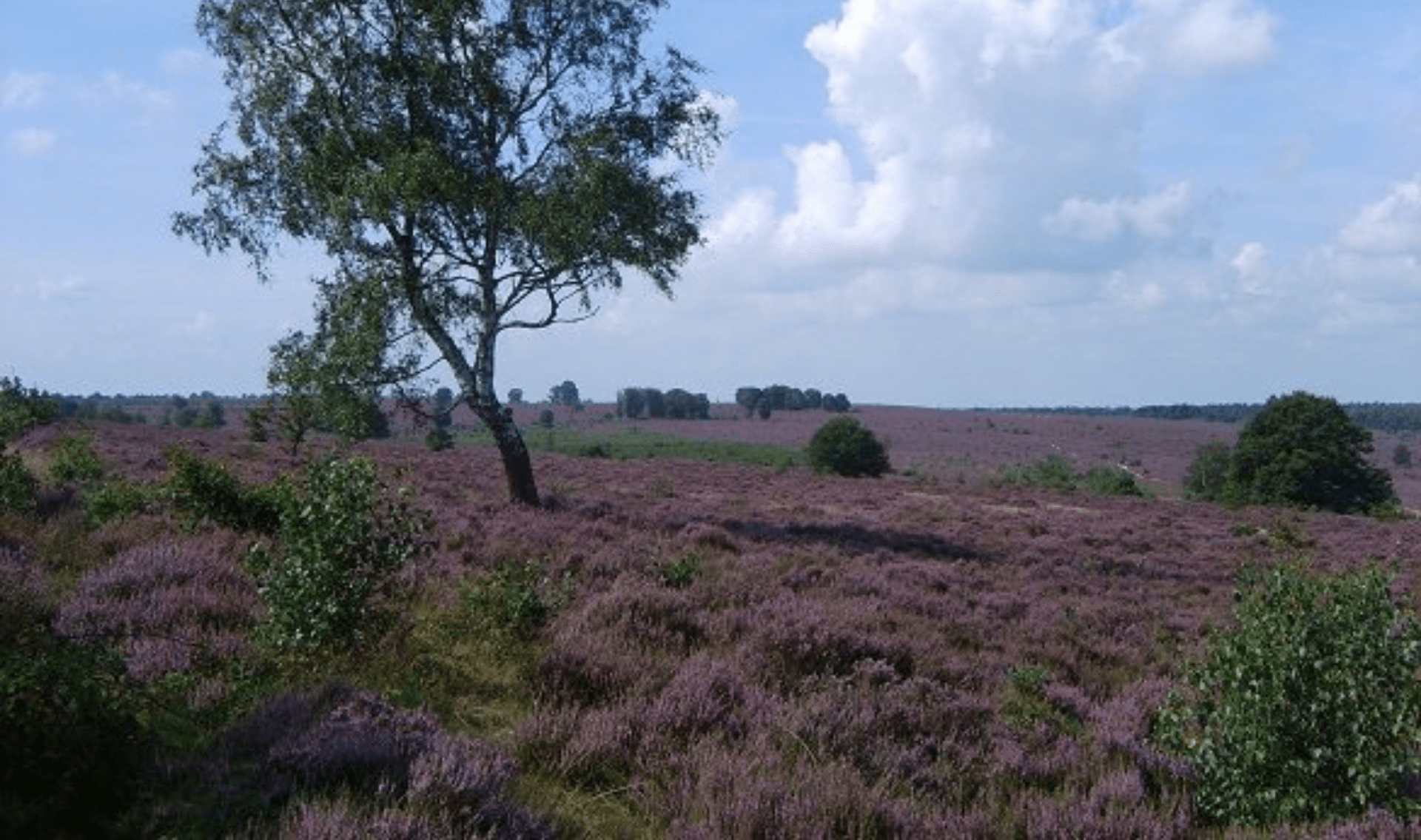 Fietsarrangement Drenthe 