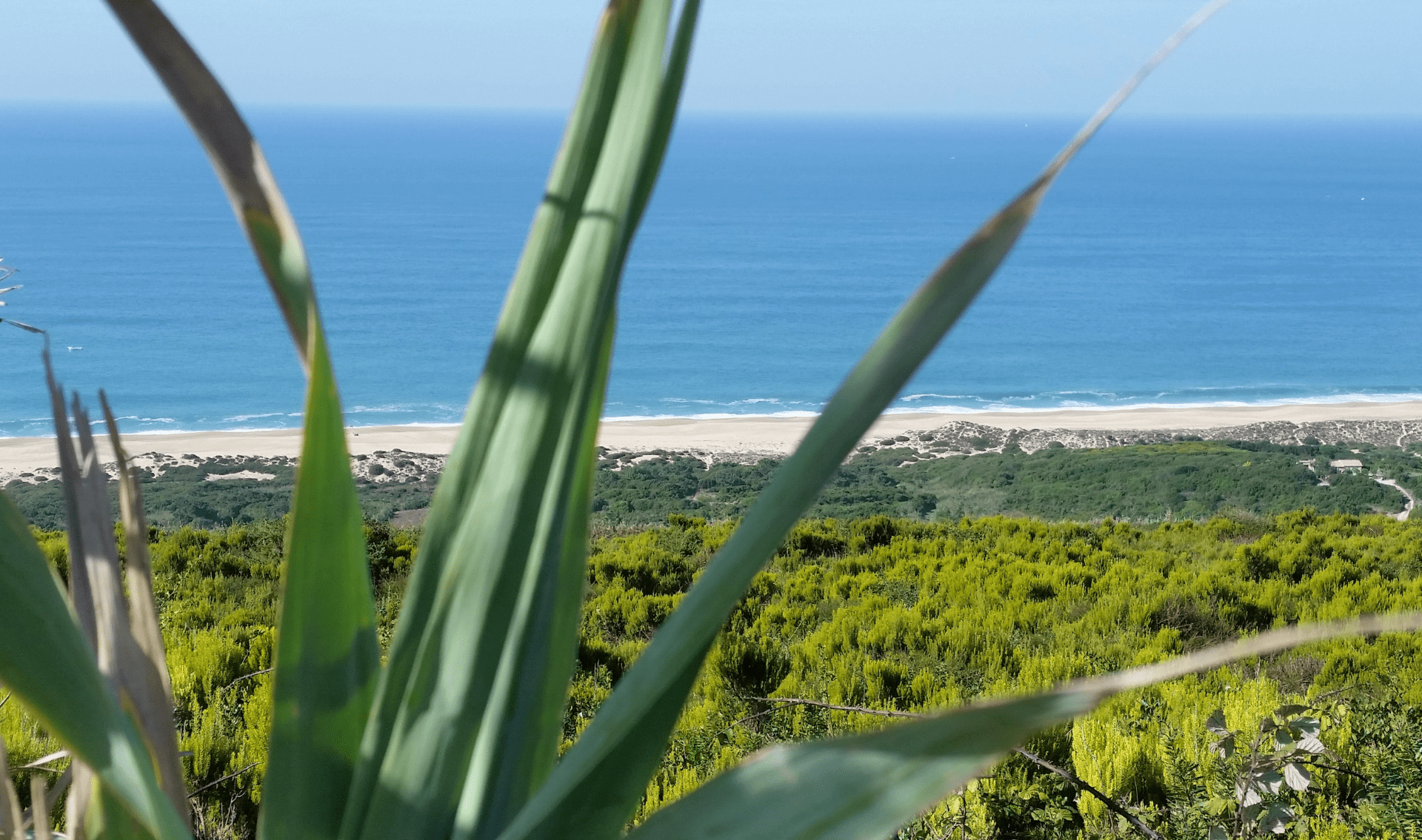 Fietsvakantie langs de kust van Portugal