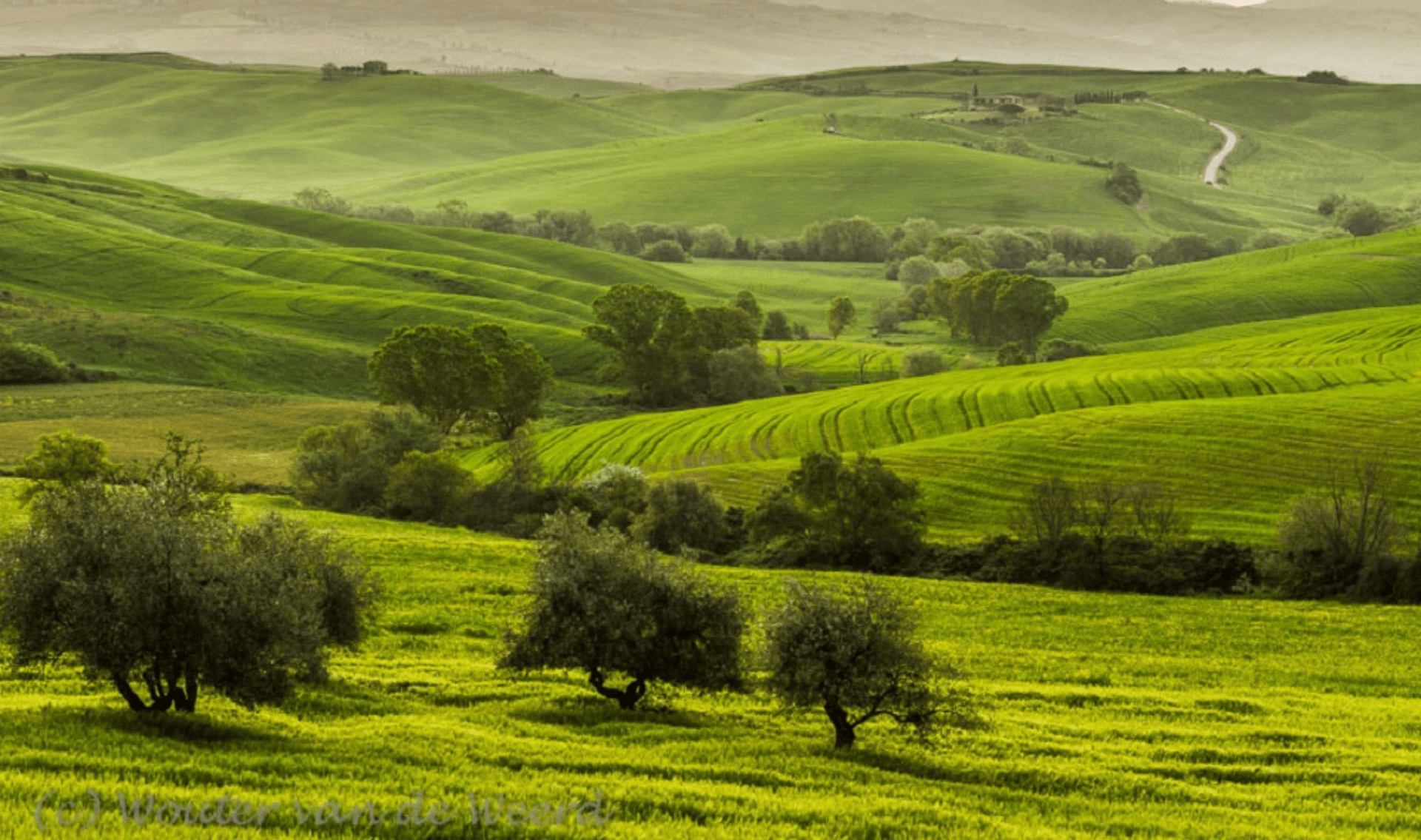 Fietsvakantie door het Toscaanse Landschap