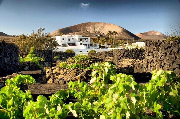****Hotel Rural Finca