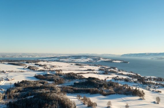 Noorwegen bomen met sneeuw