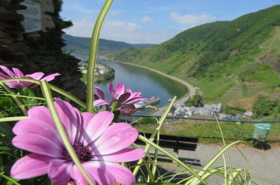 Moezel fietsvakantie Europa