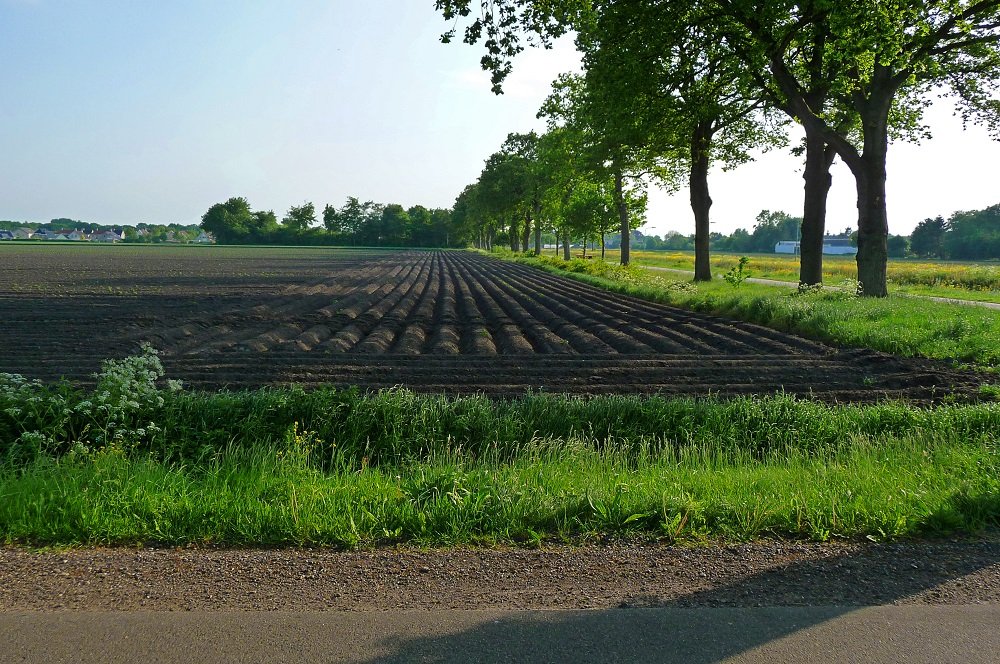 Drenthe