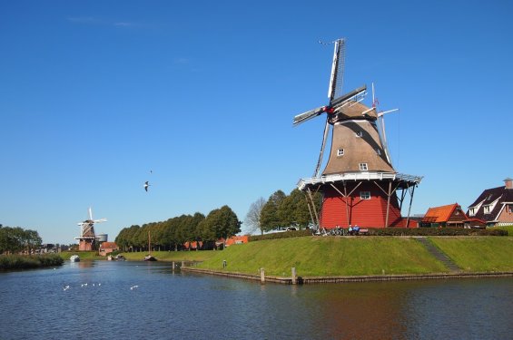 Molen
