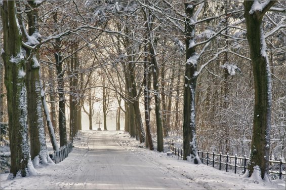 Winterfoto Sneeuw in Limburg