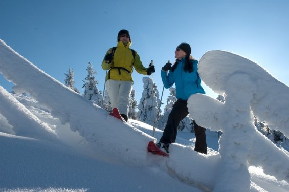 Sneeuwschoenwandelenluosto.jpg sneeuwschoenwandelen-luosto