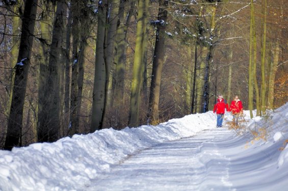 winterwandeling 2.jpg Winter