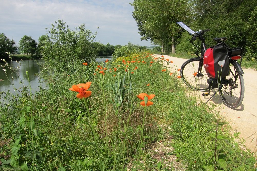 Fietsvakantie langs de Maas