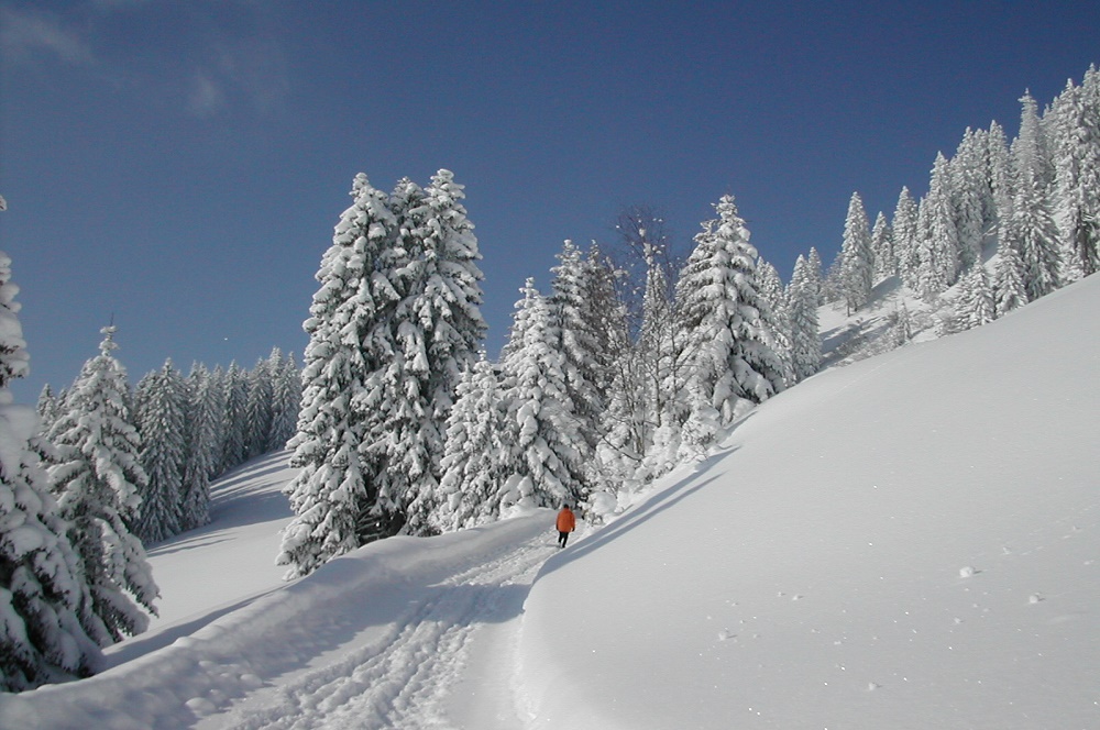 winter wandelaars