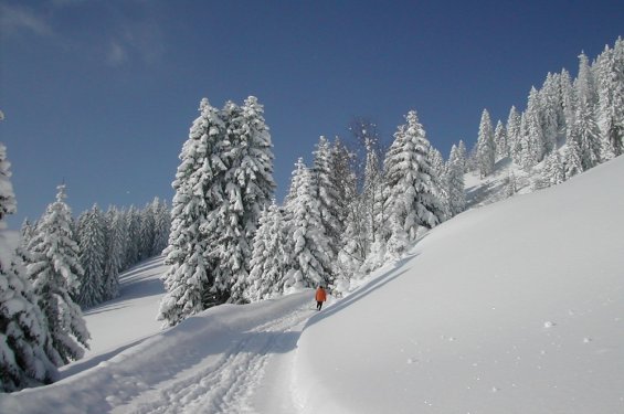 wandelaar oranje jas in sneeuw winter wandelaars