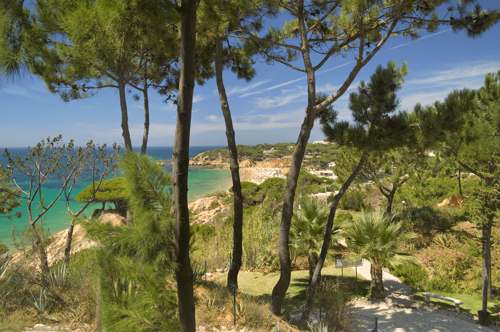 Algarve - Alto da Colina - appartementen The Village