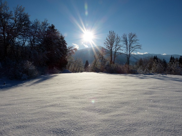 Winter