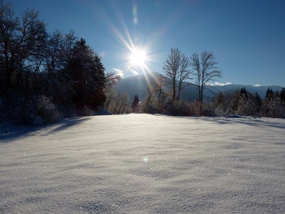 Winter