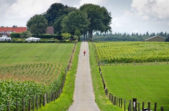 Groesbeek fietsvakantie millingen nederland