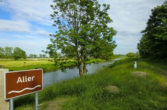 rivier de Aller groepsreis luneburger heide tijdens fietsvakantie met de bus