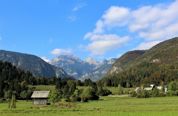 bohinj 4.jpg klein.jpg Bohinj