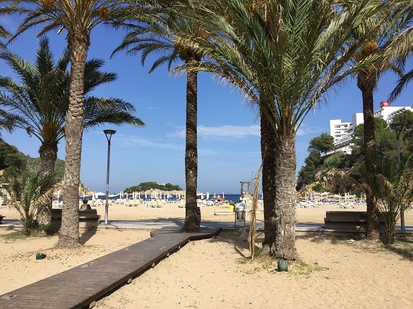 strand met palmbomen Ibiza