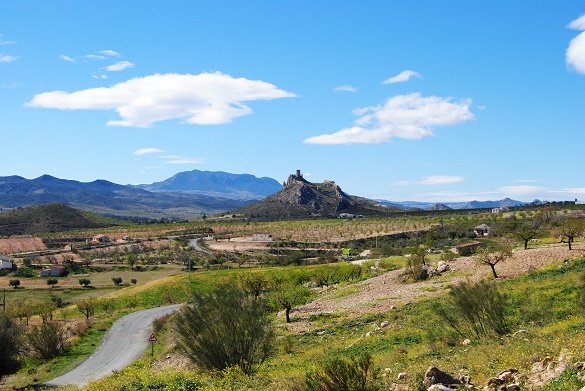 fietsreis Murcia naar Granada