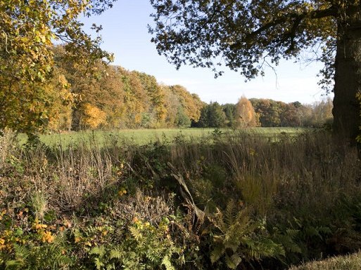 Nationaal Park drentsche AA