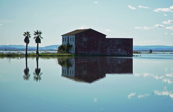 rijstvelden albufera