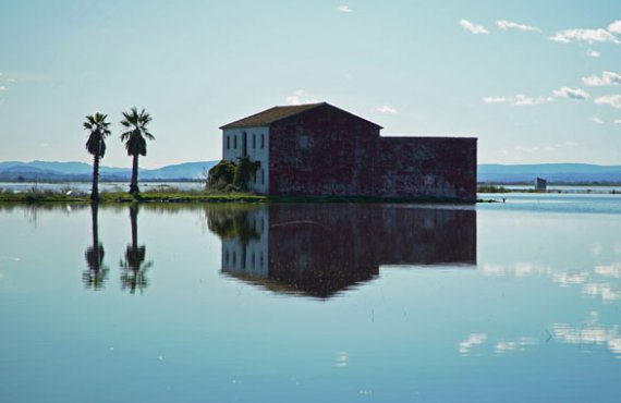 rijstvelden albufera rijstvelden albufera