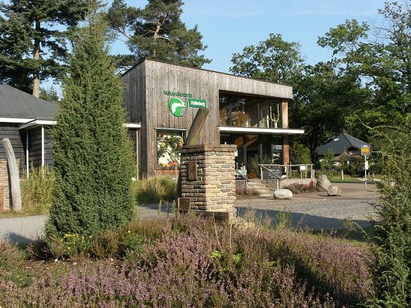  natuurdiorama holterberg