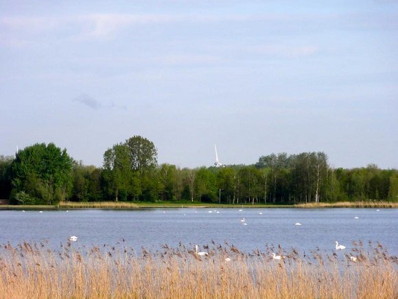 Veluwemeer