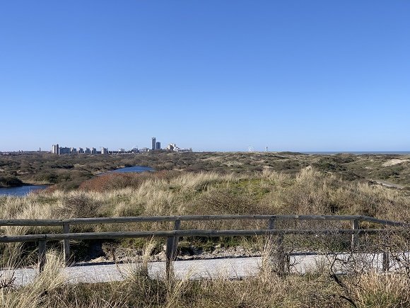 Duinen