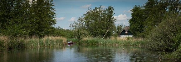 Friesland landschap