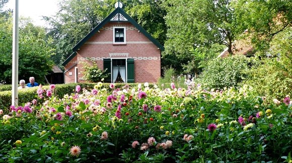 Duinhuisje Rockanje