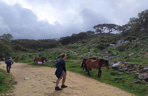 Wandelen Costa de la Luz