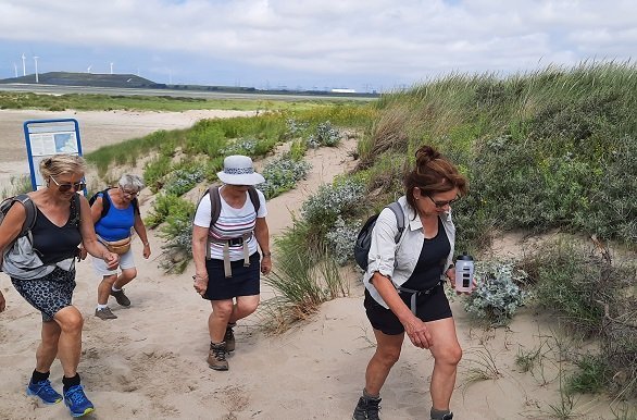 Wandelvakantie Rockanje