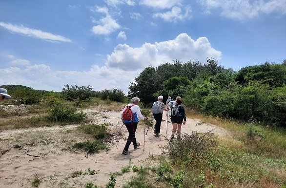 Wandelen in de duinen bij Rockanje