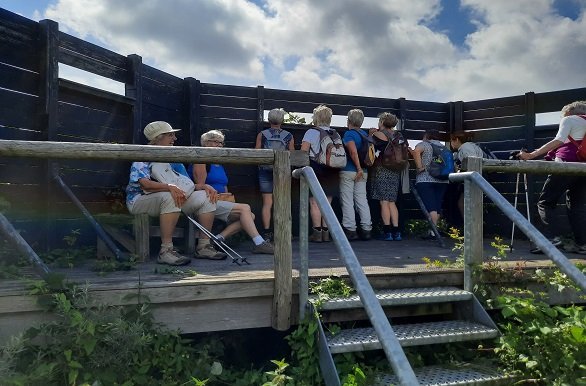 Wandelgroepje Rockanje