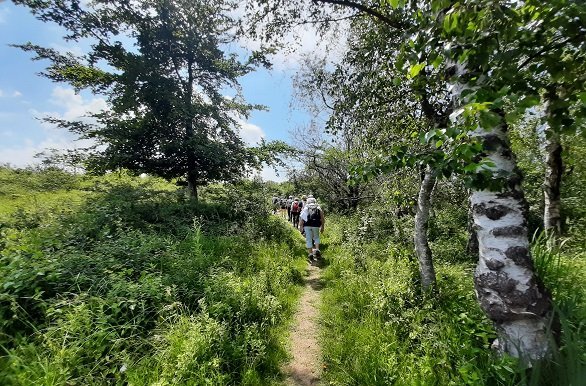 Wandelvakantie Rockanje