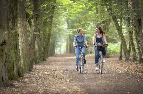 Belgisch Limburg bokrijk