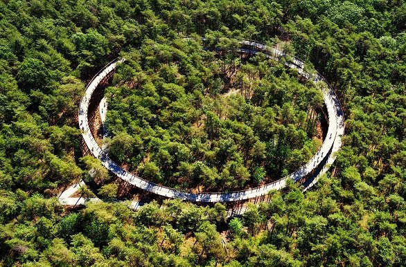 Belgisch Limburg boomfietspad