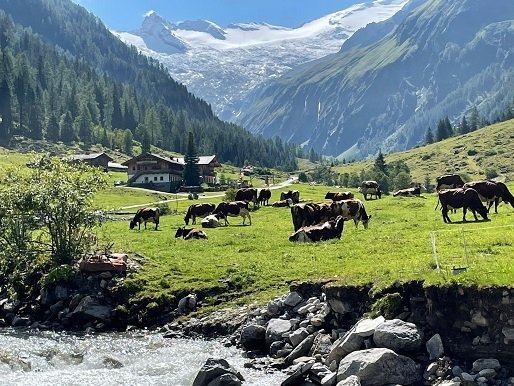 Wandelen in Oostenrijk 