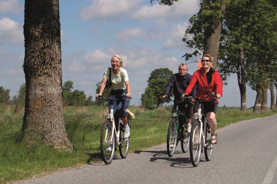 3 fietsers op een weg 3 fietsers op een weg in de Loire streek