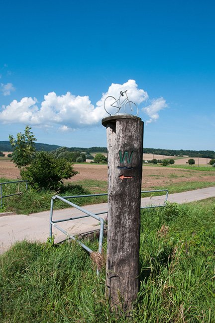 Boomstronk langs fietspad