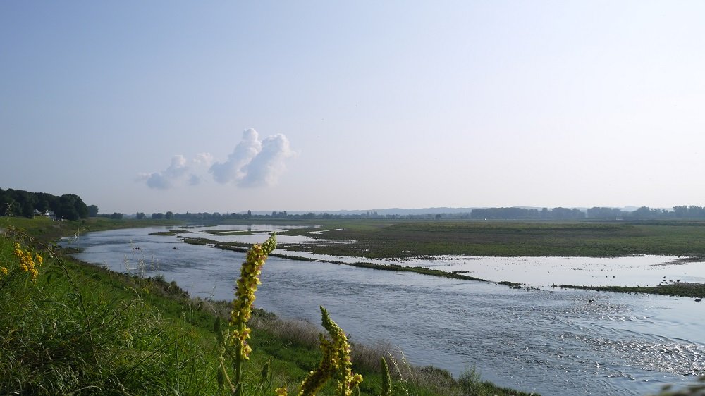 gezicht op Maas boven Maastricht