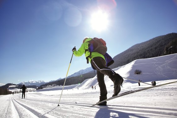 Ellis langlaufen van achter stoer