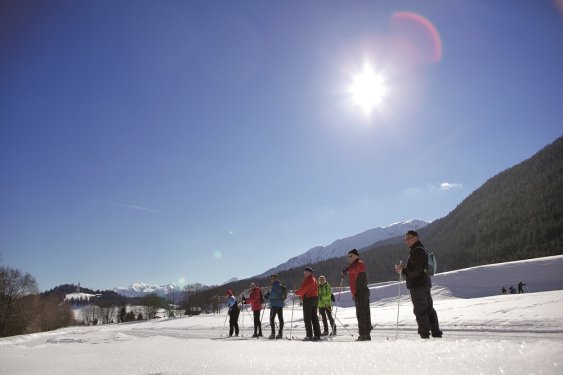 Winter algemeen 5 Groepje langlaufers  op rij