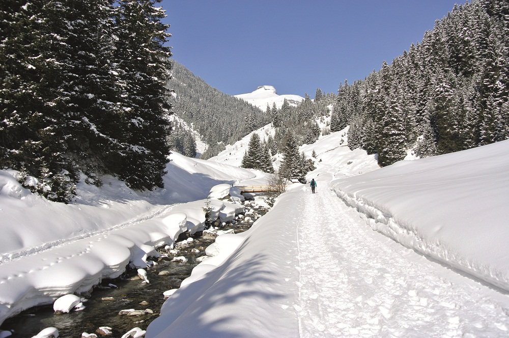 sneeuwpad met beekje 