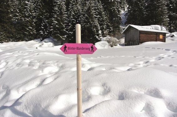 winter algemeen 20 sneeuw met berghut en rose bord