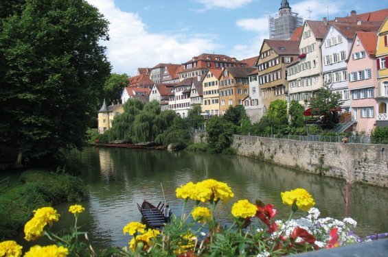 Gids 2015 Neckar Huizen langs water en begroeit